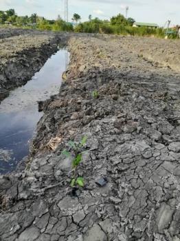 ��ط��Ҥ� �� coasset22