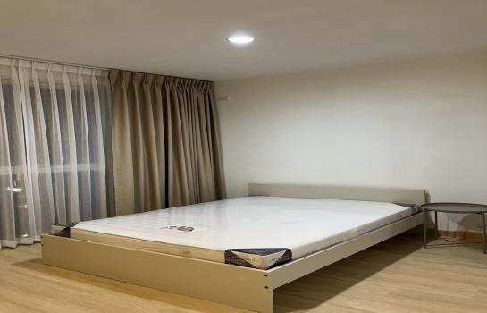 �͹� �����