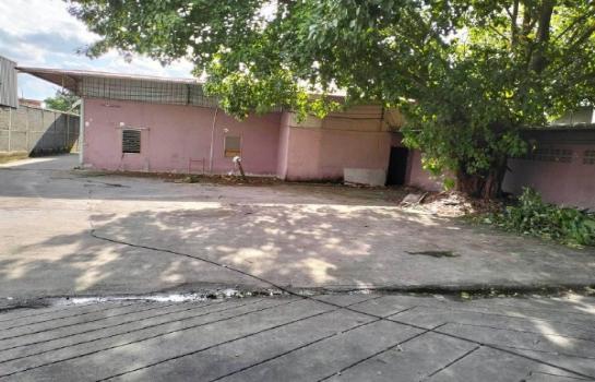 ⡴ѧ��ا෾ �� Pukpik.TNC