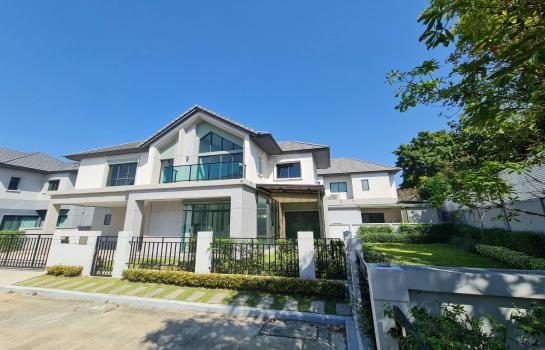 ��¹������ �� kantapon4