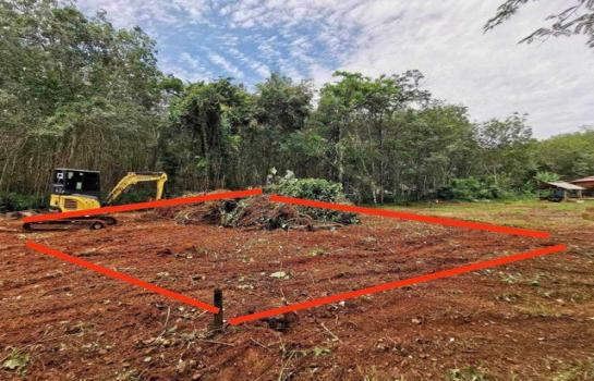 ��¡�к�� �� Jyn Property