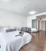 �͹� ���ͧ