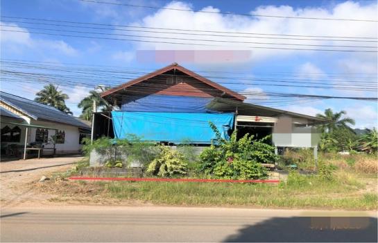 ��ҹ ���ž���ʧ ����ɮ��ҹ�