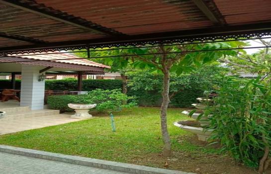 �ѹ��ᾧ �� onanong khumaphao