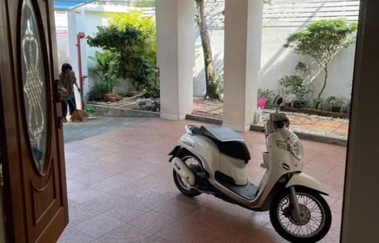 ⡴ѧ������ �ǹ��ǧ��ا෾