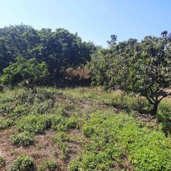 ����� �� sopa