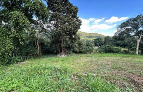 �ҧ�� �� northern1