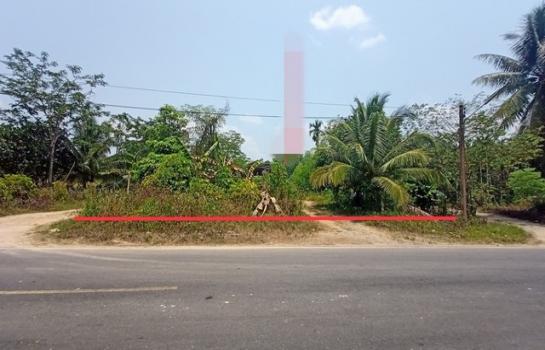 ʧ��� �� compos2566