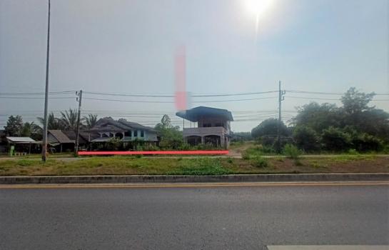 ʧ��� �� panaya.opalopal