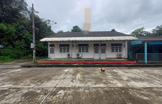 ʧ��� �� panaya.opalopal