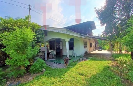 ʧ��� �� compos2566