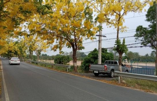 �ҧ�� �� khunnan56