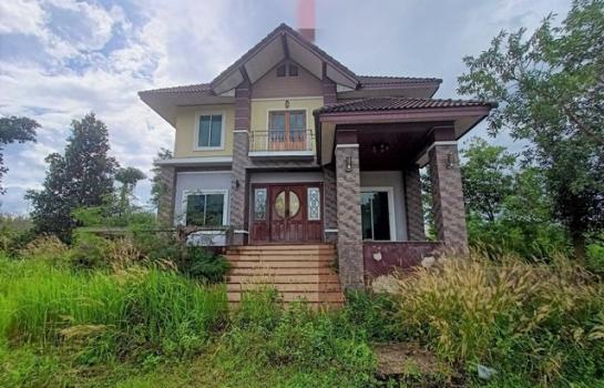 ���ʧ��� �� compos2566