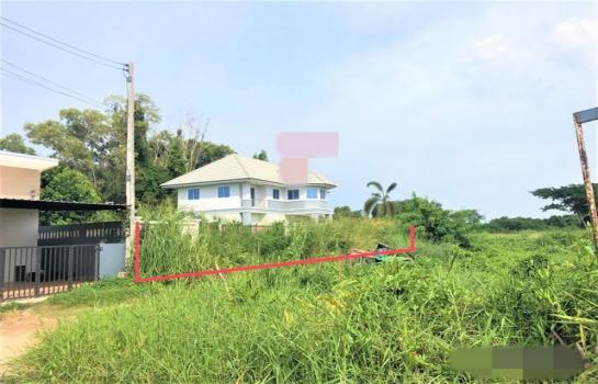 ��ҹʧ��� �� panaya.opalopal