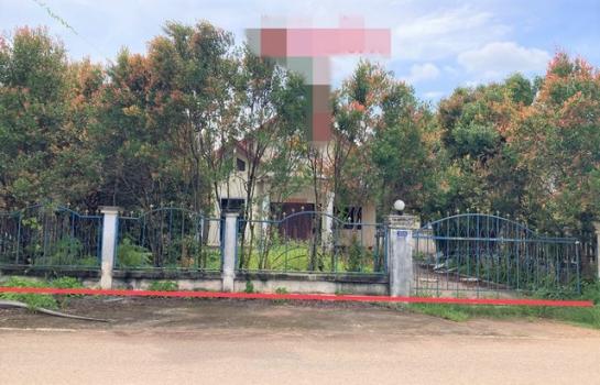 ��ҹ ���ž���ʧ ����ɮ��ҹ�