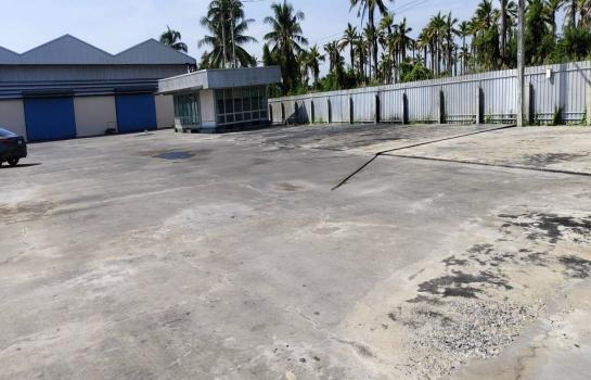 ⡴ѧ��ҹ�͡෤͹��յ ��з���ẹ