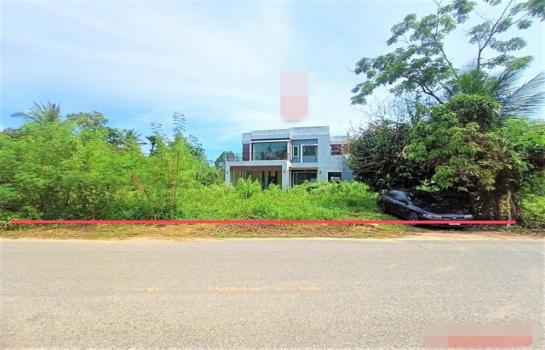 ��ҹʧ��� �� panaya.opalopal