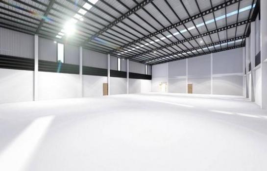 ��»����ҹ� �� asanghapl