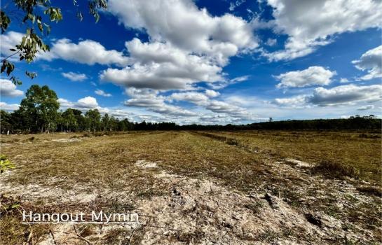 ���Թ 4 ���