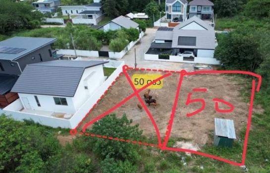 ������ �� northern1