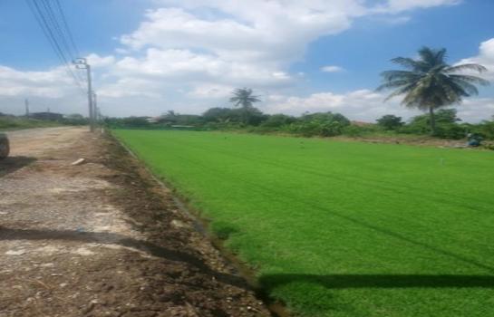 ��ا෾ �� pazarestate1