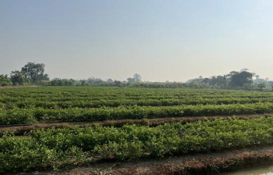 ��¹�û�� �� Jyn Property