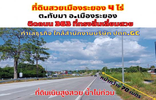 ���Թ 4 ���