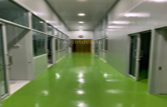 ��ͧ��ǧ �� AssetD4U