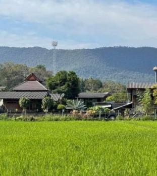 �ѹ��ᾧ �� differestate