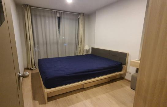 �͹�BITEC �ҧ��