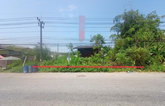 ���ʧ��� �� compos2566