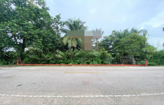 ���ʧ��� �� compos2566