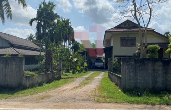 ��ҹʧ��� �� panaya.opalopal