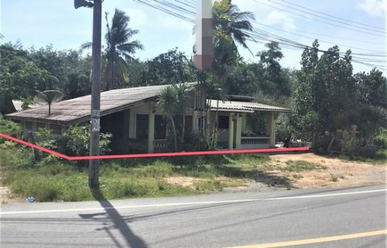 ��ҹʧ��� �� panaya.opalopal