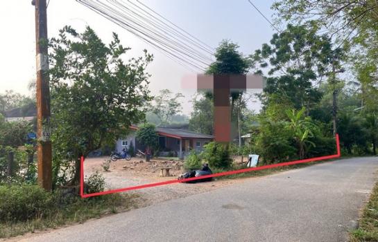 ʧ��� �� compos2566