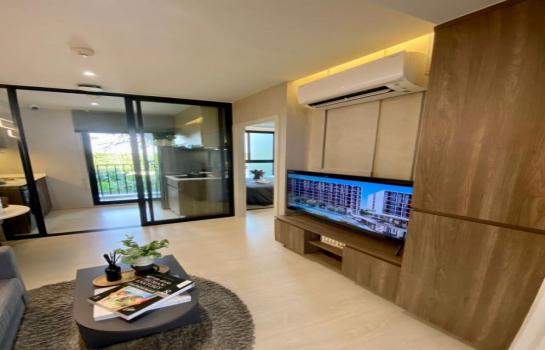 ��¤͹� �٤� �����ҹ�