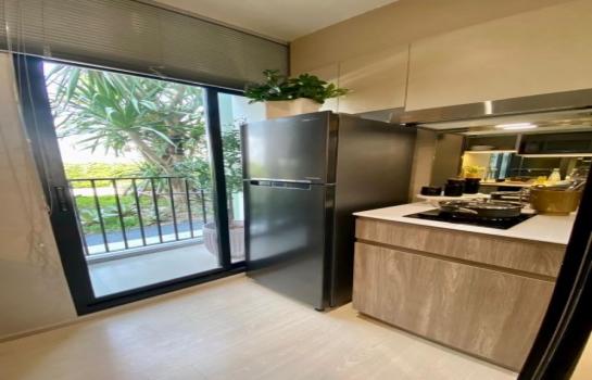 ��¤͹� �٤� �����ҹ�