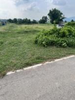 ��·��Թ �Ҥһ�С�Ȣ�� 600,000 �ҷ