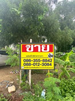 ������ �� zionasset1