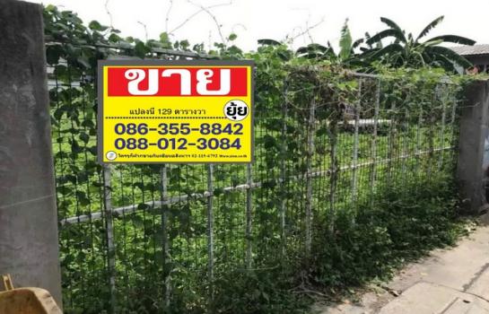 �Ҵ����� �� zionasset1