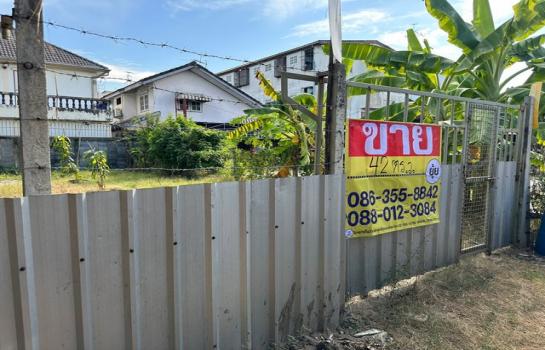 �չ���� �� zionasset1