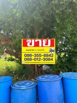 ��ا෾ �� zionasset1