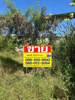 ���⢹� �� zionasset1