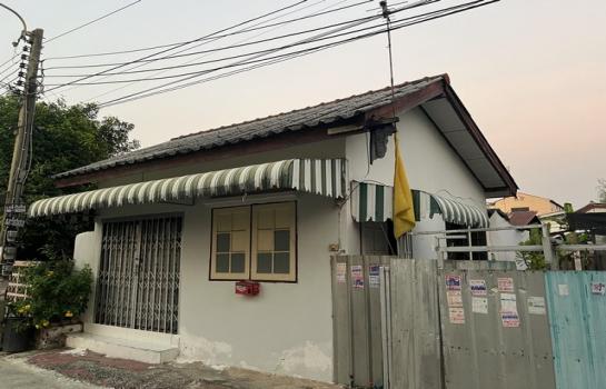 �չ���� �� sopa