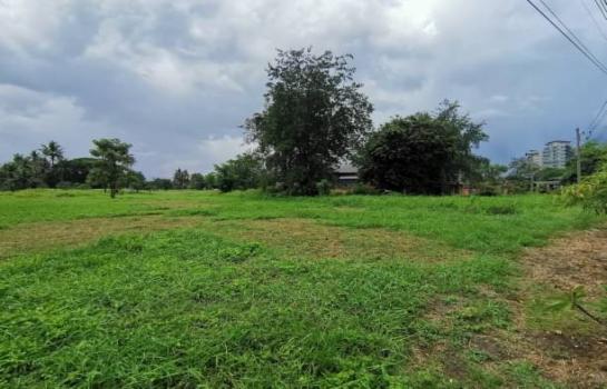 ������ �� onanong khumaphao