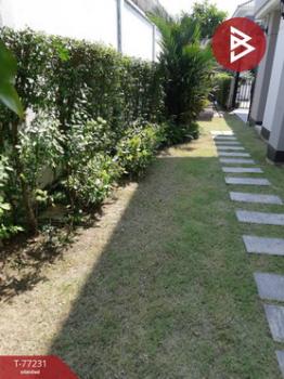 ��ҹ�ҭ������ɡ �ҧ�˭�