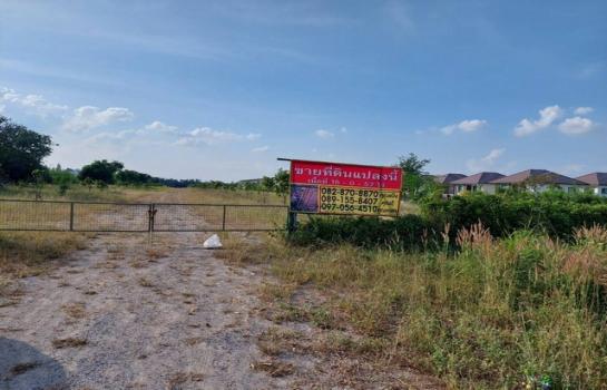 �ҡ �� zionasset1