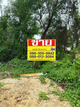 ������� �� zionasset1