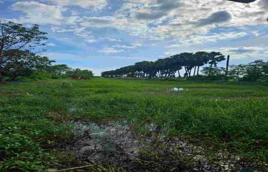 ���Թ������ ���ͧ��ù�¡��ù�¡