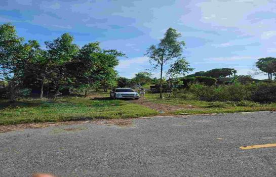 ���Թ������ ���ͧ��ù�¡��ù�¡